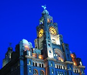 Liver building