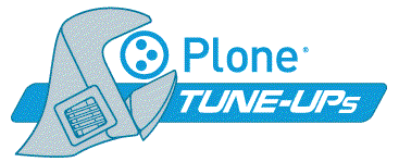 August 19th Plone Tune-Up Focuses on Improving Plone's Accessibility