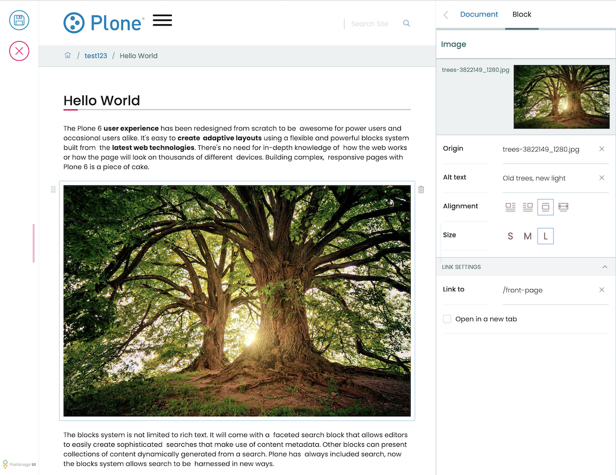Plone 6 editor, adding an image